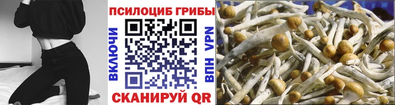 закладка Ак-Довурак Галлюциногенные грибы MAGIC MUSHROOMS